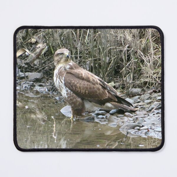 Item preview, buzzard designed and sold by KathleenDawson.