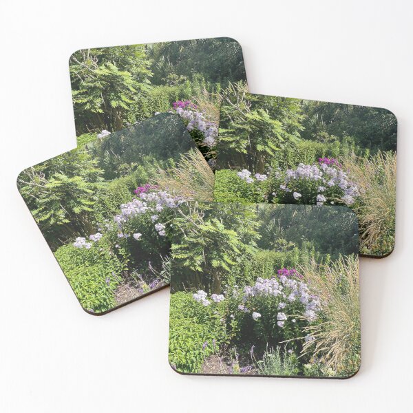 Item preview, Queens park bush designed and sold by Beautyqueens Beautys.