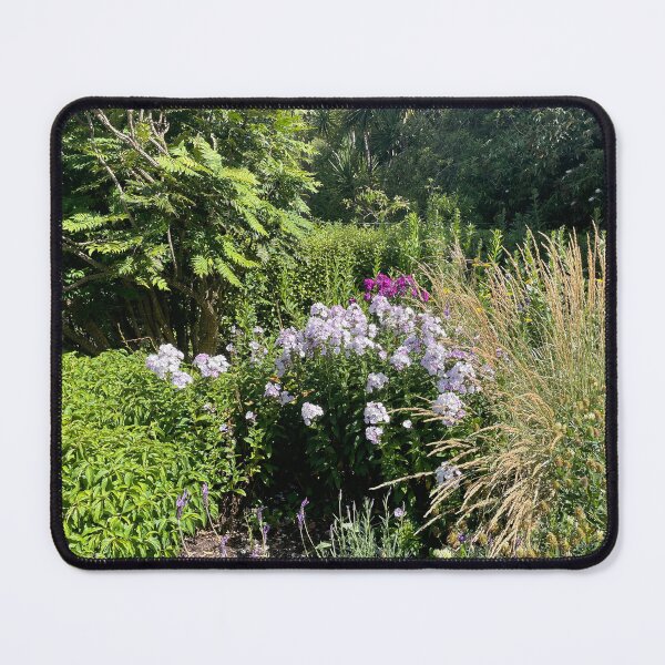 Item preview, Queens park bush designed and sold by Beautyqueens Beautys.
