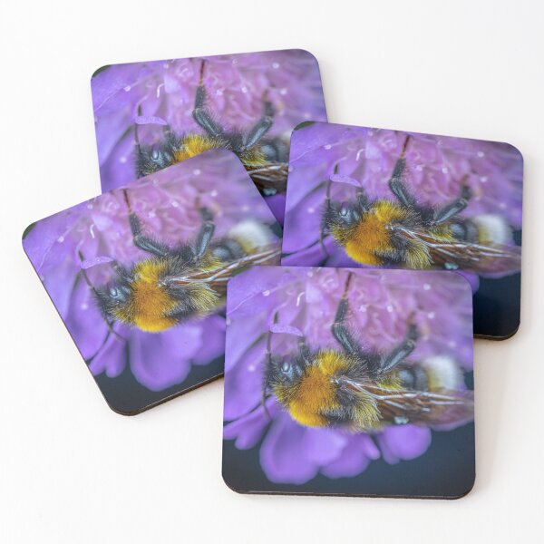 Item preview, Bumblebee on a purple flower designed and sold by Raureif.