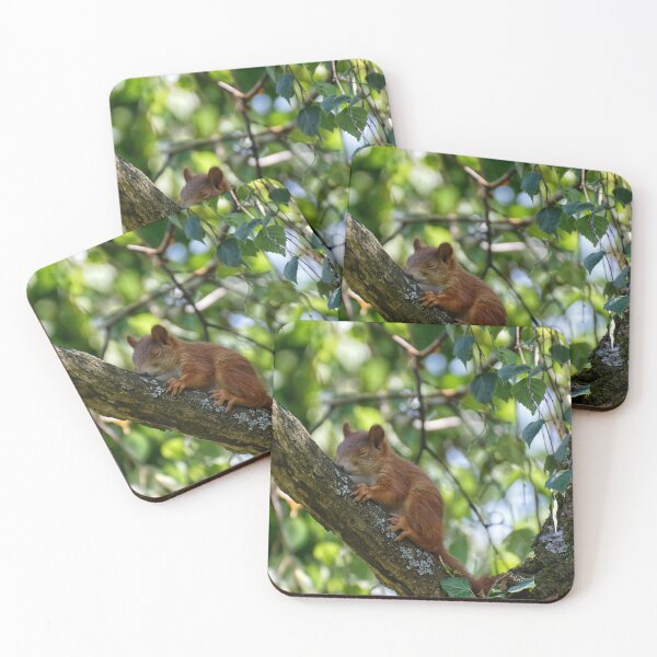 Item preview, Squirrel sleeping on a tree branch designed and sold by Raureif.