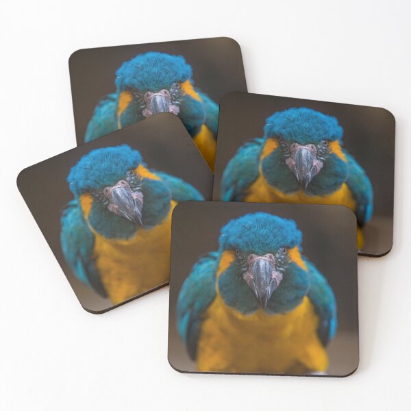 Item preview, Parrot looking straight at the camera designed and sold by Raureif.
