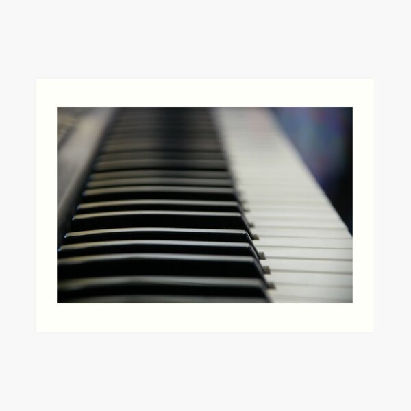 Ebony And Ivory Art Print