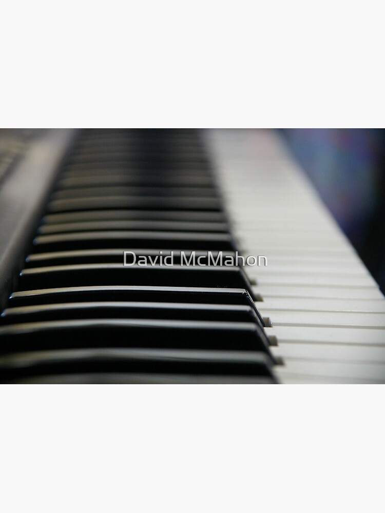 Ebony And Ivory by davidmcmahon