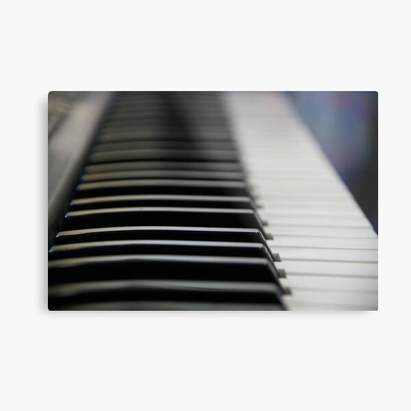 Ebony And Ivory Metal Print