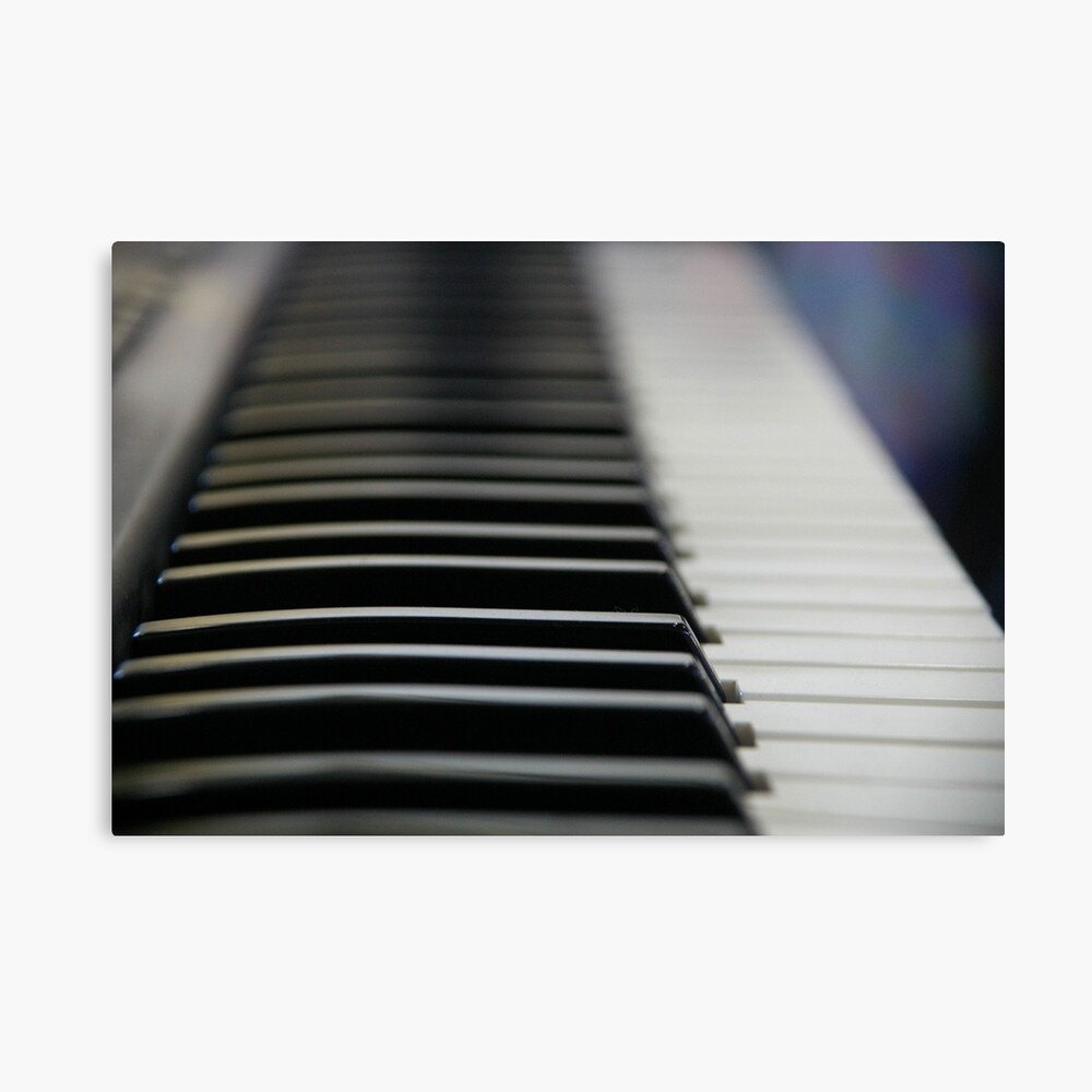 Ebony And Ivory Canvas Print