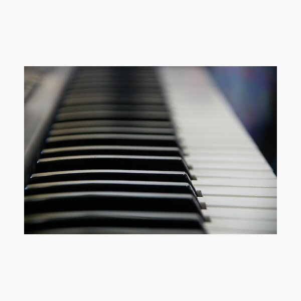 Ebony And Ivory Photographic Print
