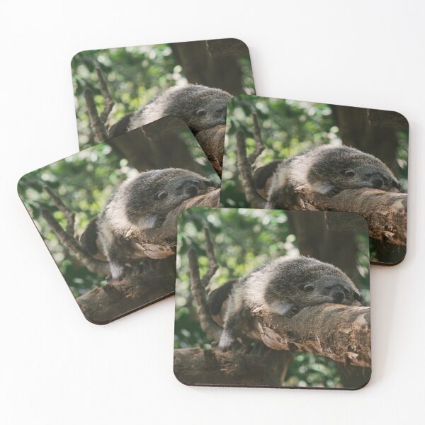 Item preview, Palm Civet relacing on a tree branch designed and sold by Raureif.