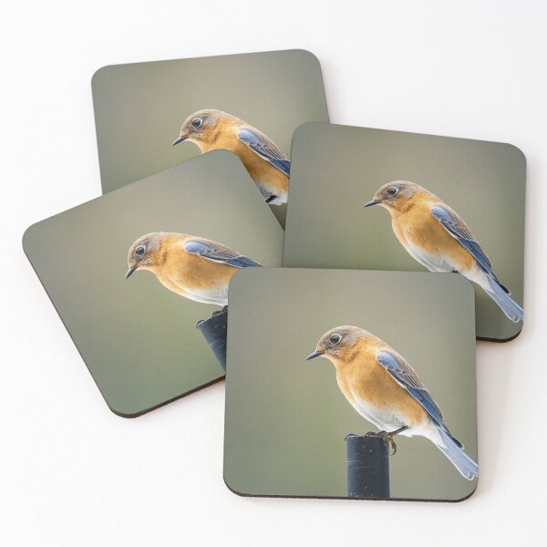 Item preview, Eastern Bluebird designed and sold by Raureif.
