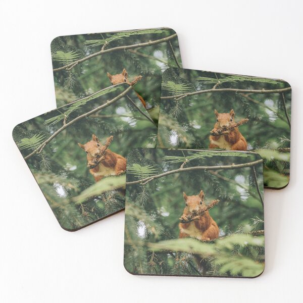 Item preview, Squirrel eating a pine cone designed and sold by Raureif.