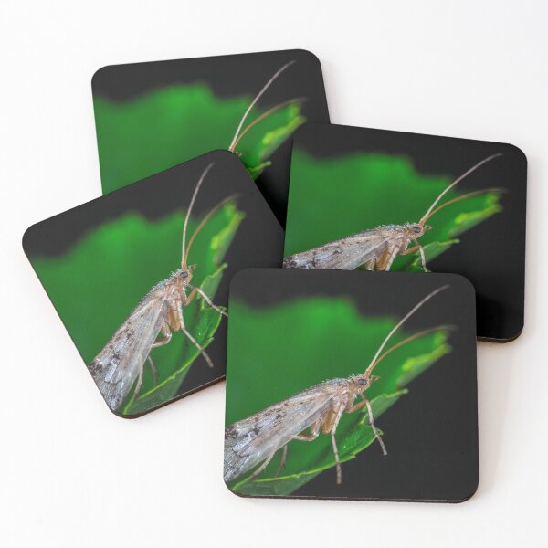 Item preview, Dobsonfly sitting on a green Leaf designed and sold by Raureif.