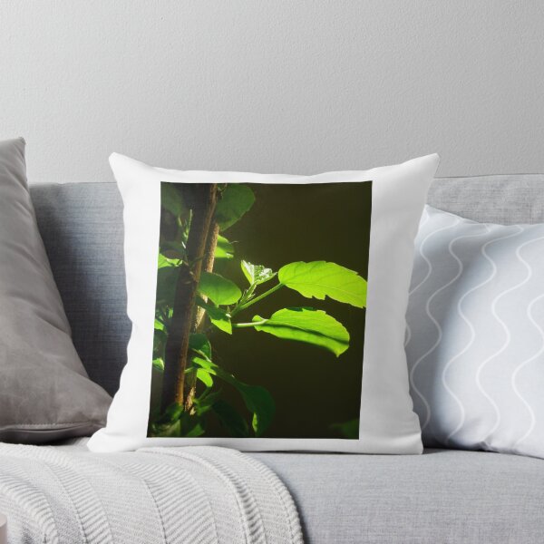 Item preview, The Houseplant designed and sold by Roddaxios.
