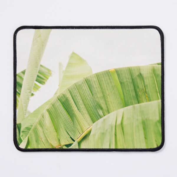 Item preview, Green Banana Palm Tree Leaves | Soft Tones Photography designed and sold by ppolecho.