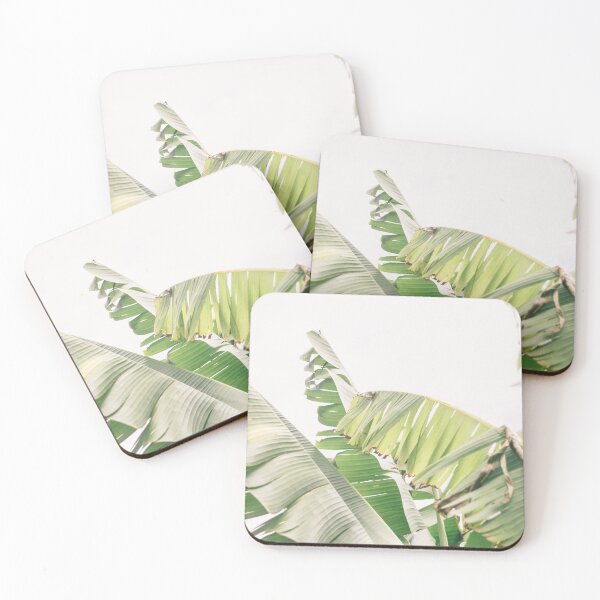 Item preview, Soft Neutral Green Banana Tree Leaves | Tropical Nature Photography designed and sold by ppolecho.