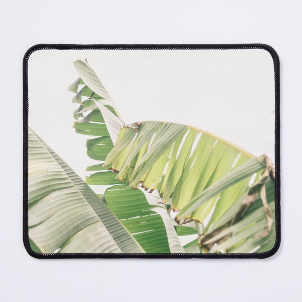 Item preview, Soft Neutral Green Banana Tree Leaves | Tropical Nature Photography designed and sold by ppolecho.