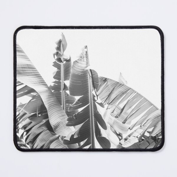 Item preview, Black and White Banana Palm Tree Leaves | Tropical Photography designed and sold by ppolecho.