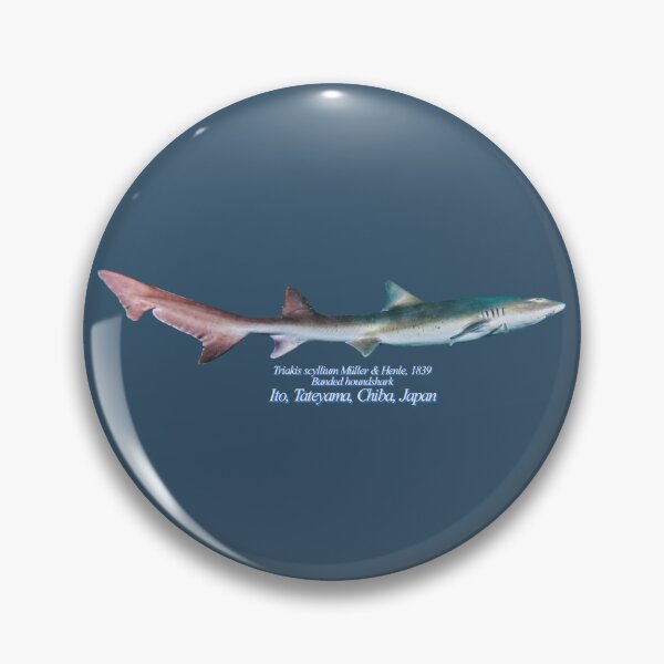Item preview, Banded houndshark designed and sold by tank200bar.