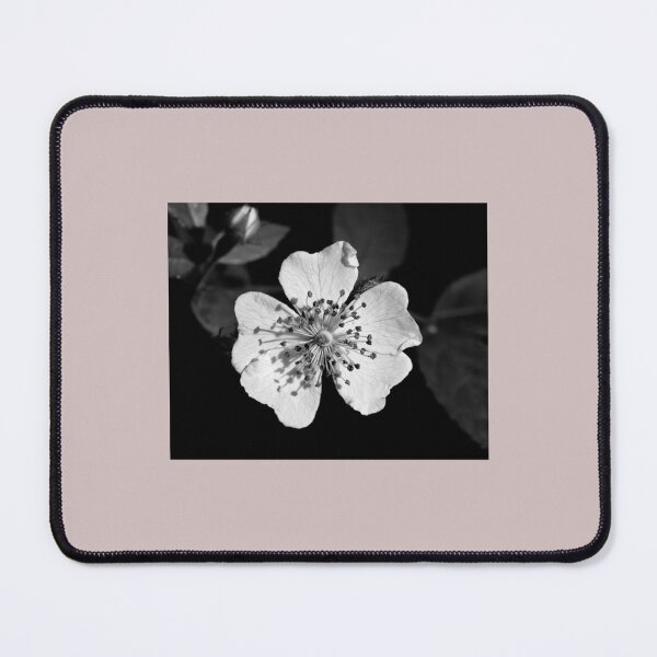 Item preview, Wild Rose- Black Sunshine IV      designed and sold by RuffledPine.