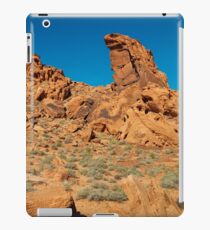 USA Nature 1 iPad Case/Skin