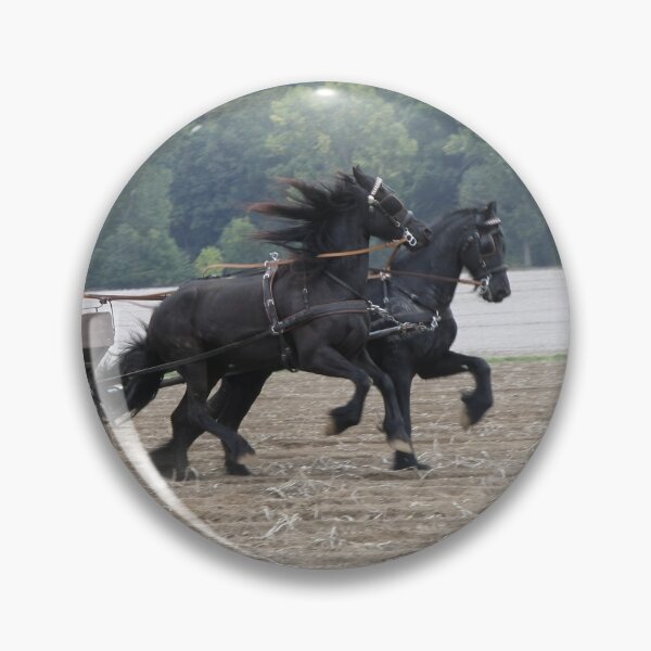 Item preview, Friesian horses, flying designed and sold by Calidris Fotografie Steffi & Ben Köppler.