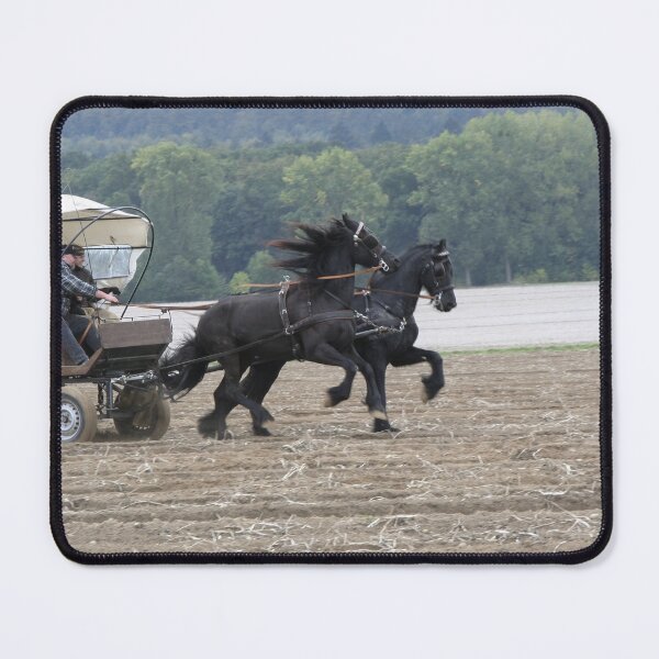 Item preview, Friesian horses, flying designed and sold by Calidris Fotografie Steffi & Ben Köppler.