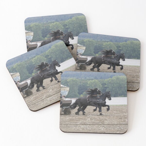 Item preview, Friesian horses, flying designed and sold by Calidris Fotografie Steffi & Ben Köppler.