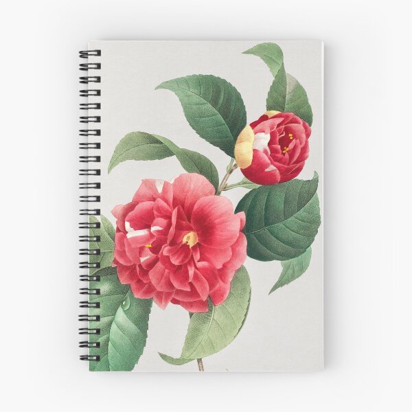 Aperçu de l'œuvre Choix des plus belles fleurs et des plus beaux fruits par Pierre-Joseph Redoute créée et vendue par InHerits.