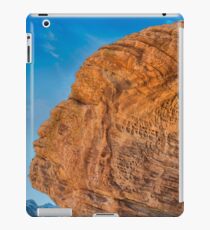 USA Nature 5 iPad Case/Skin