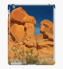 USA Nature 6 iPad Case/Skin