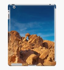 USA Nature 7 iPad Case/Skin