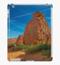 USA Nature 8 iPad Case/Skin