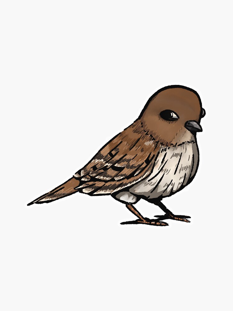 Birds Sticker for Sale by odetojoieee