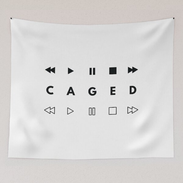 Item preview, CAGED System Music Player Buttons Light Theme designed and sold by nightsworthy.