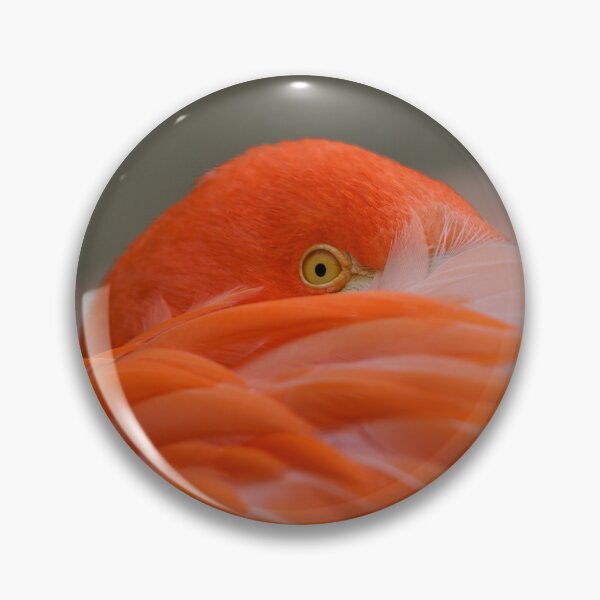 Item preview, Peeking Flamingo designed and sold by rawshutterbug.