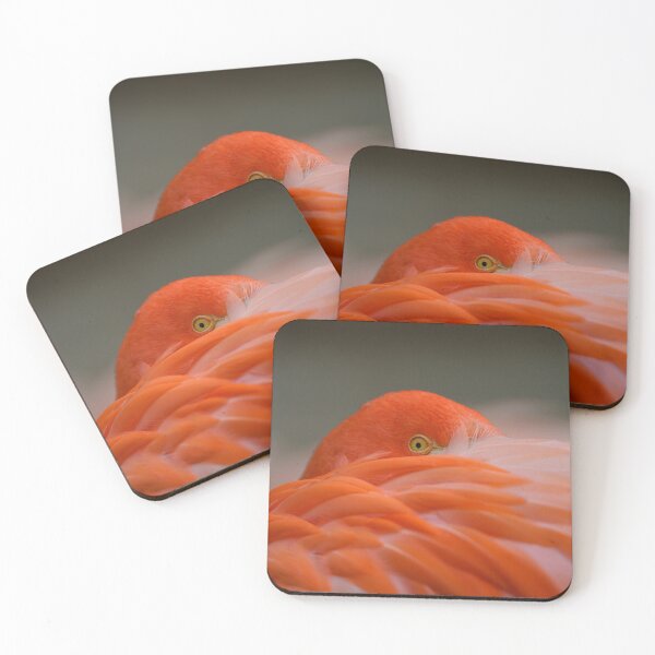 Item preview, Peeking Flamingo designed and sold by rawshutterbug.