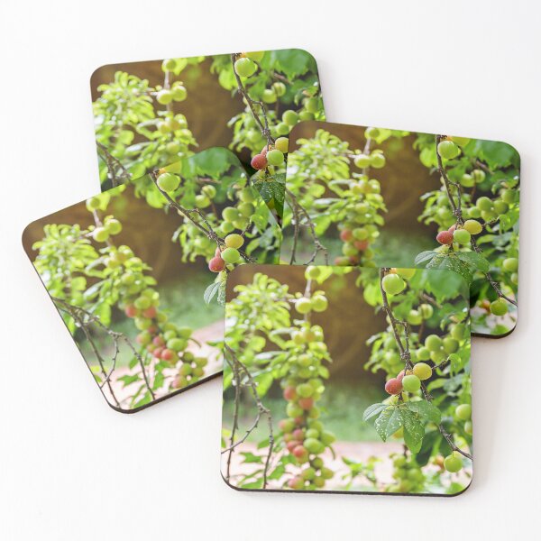 Item preview, Fresh fruit! designed and sold by Amy Dee.