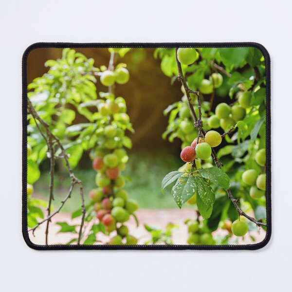 Item preview, Fresh fruit! designed and sold by Amy Dee.