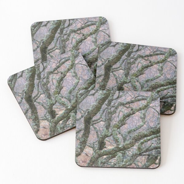 Item preview, Woodland in Sutherland designed and sold by ccullen222.