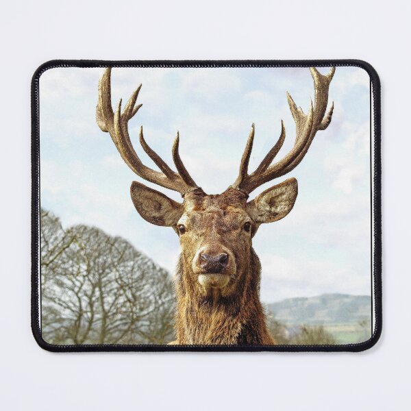 Item preview, Stag designed and sold by angieblue-25.