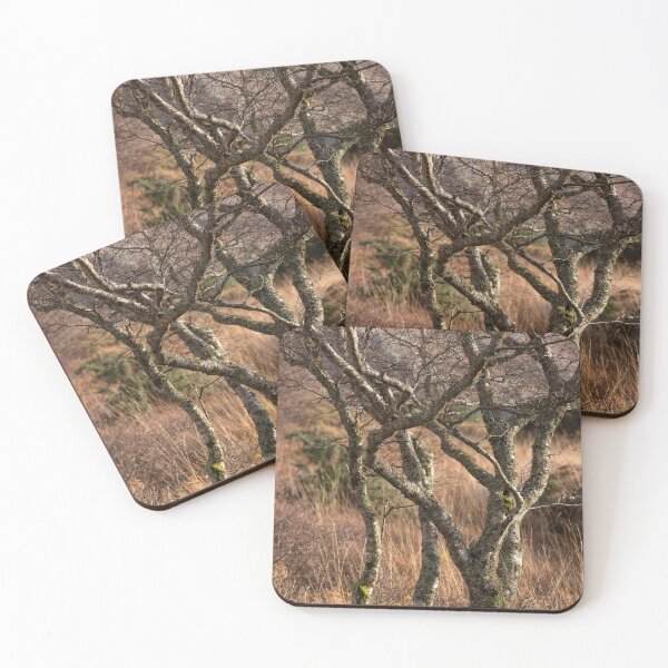 Item preview, Roadside trees in winter sunlight designed and sold by ccullen222.