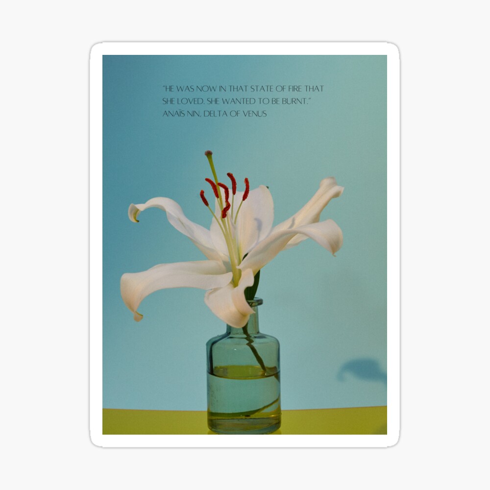 10 Quotes From Anaïs Nin's Delta Of Venus