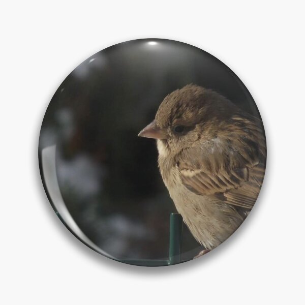 Aperçu de l'œuvre Moineau en hiver créée et vendue par LittleCountess.