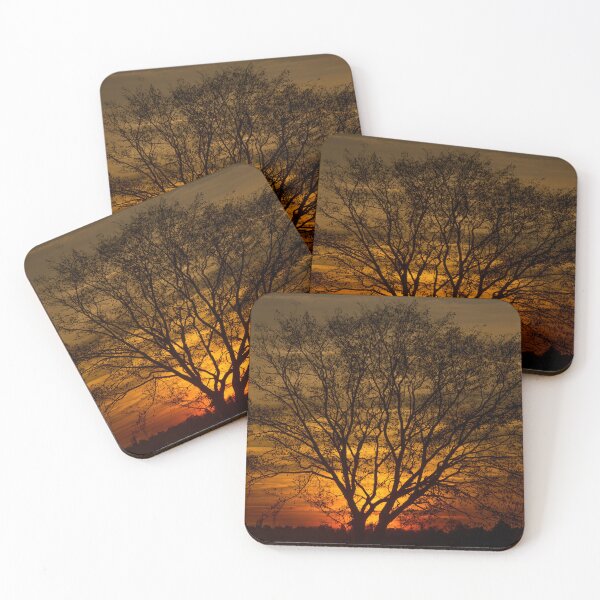 Item preview, The evening sun lighting up a lonely tree designed and sold by hugobraun.