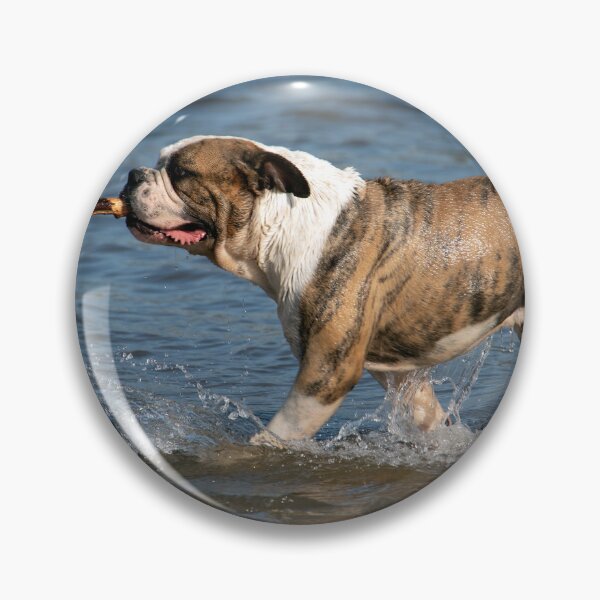 Item preview, Fetch! designed and sold by Chris Monks.