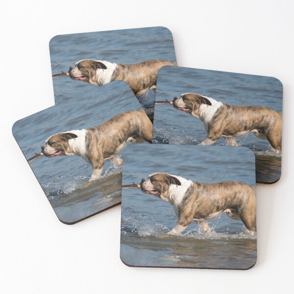 Item preview, Fetch! designed and sold by Chris Monks.
