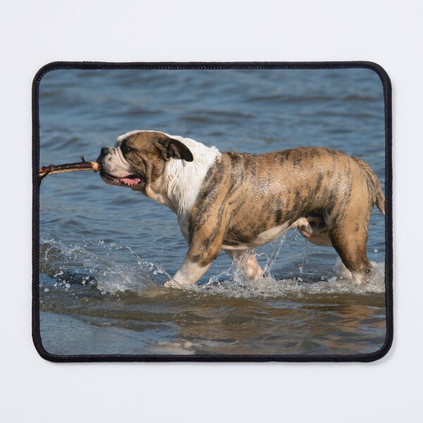 Item preview, Fetch! designed and sold by Chris Monks.