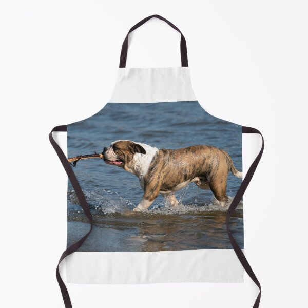 Item preview, Fetch! designed and sold by Chris Monks.