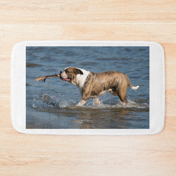 Item preview, Fetch! designed and sold by Chris Monks.