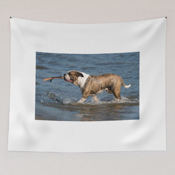 Item preview, Fetch! designed and sold by Chris Monks.
