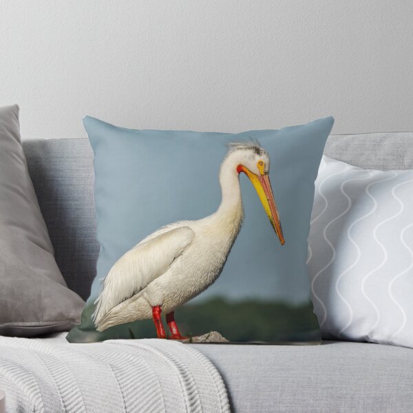 Item preview, Portrait Of An American White Pelican designed and sold by Thomasyoung.